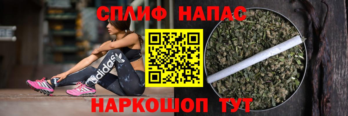 МАРИХУАНА сатива Вольск